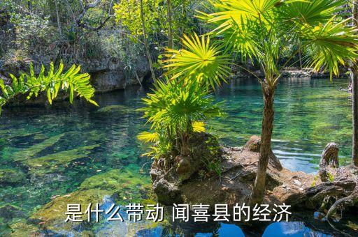 聞喜海鑫集團占地面積,山西聞喜海鑫集團的董事會都有誰