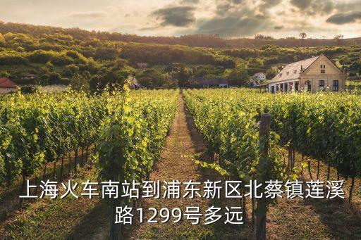  上?；疖嚹险镜狡謻|新區(qū)北蔡鎮(zhèn)蓮溪路1299號多遠(yuǎn)