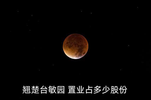 翹楚臺敏園 置業(yè)占多少股份