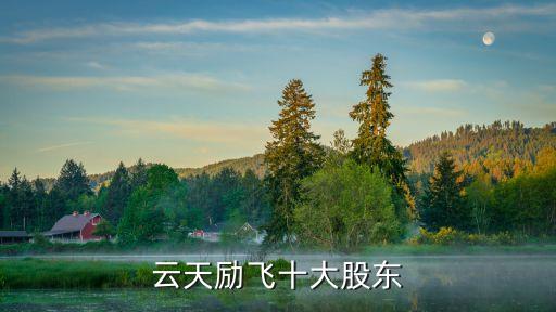 云天勵飛十大股東