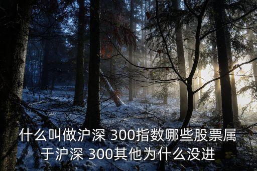 什么叫做滬深 300指數(shù)哪些股票屬于滬深 300其他為什么沒進
