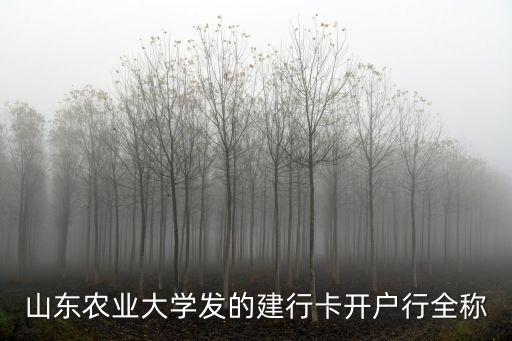 山東農業(yè)大學發(fā)的建行卡開戶行全稱