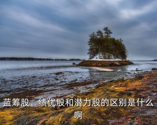 藍籌股、績優(yōu)股和潛力股的區(qū)別是什么啊