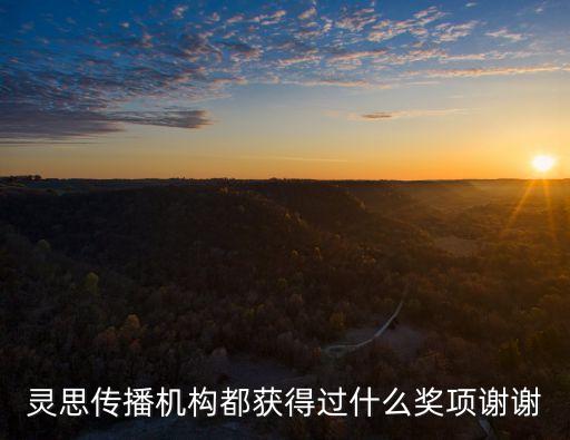 靈思傳播機(jī)構(gòu)都獲得過什么獎(jiǎng)項(xiàng)謝謝