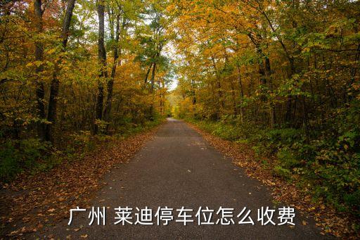  廣州 萊迪停車(chē)位怎么收費(fèi)