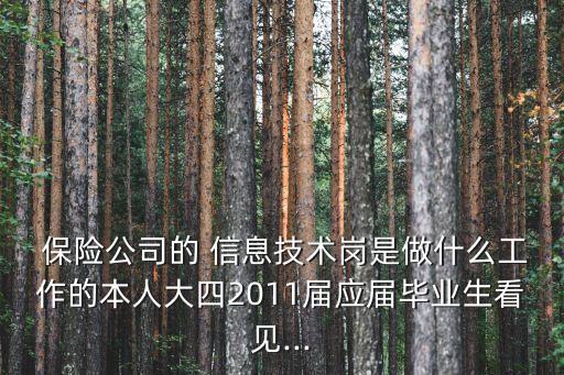 保險(xiǎn)公司信息技術(shù)部