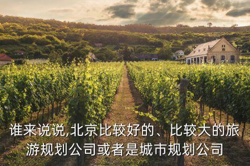 誰來說說,北京比較好的、比較大的旅游規(guī)劃公司或者是城市規(guī)劃公司