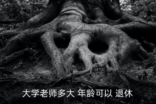 大學老師多大 年齡可以 退休