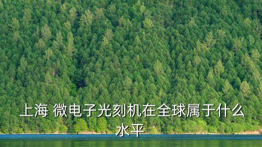  上海 微電子光刻機在全球?qū)儆谑裁此? class=