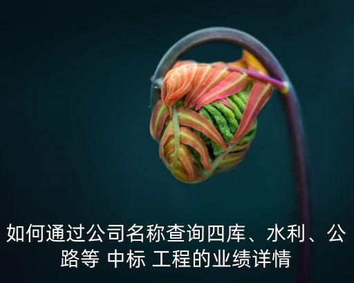 如何通過公司名稱查詢四庫、水利、公路等 中標 工程的業(yè)績詳情