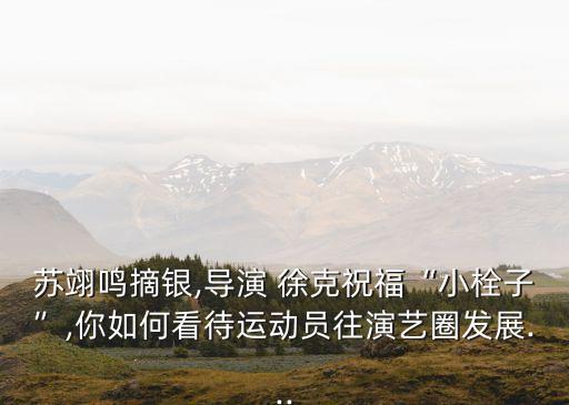 蘇翊鳴摘銀,導(dǎo)演 徐克祝?！靶∷ㄗ印?你如何看待運(yùn)動(dòng)員往演藝圈發(fā)展...
