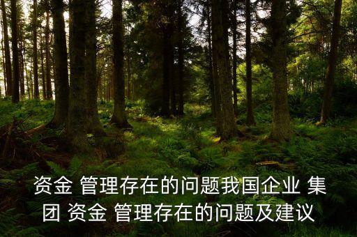  資金 管理存在的問(wèn)題我國(guó)企業(yè) 集團(tuán) 資金 管理存在的問(wèn)題及建議