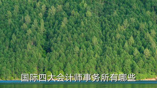 德勤中國(guó)合作的公司,德勤咨詢(xún)中國(guó)公司