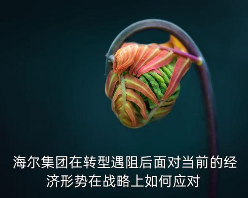  海爾集團在轉(zhuǎn)型遇阻后面對當(dāng)前的經(jīng)濟形勢在戰(zhàn)略上如何應(yīng)對