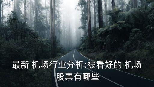 最新 機(jī)場行業(yè)分析:被看好的 機(jī)場 股票有哪些