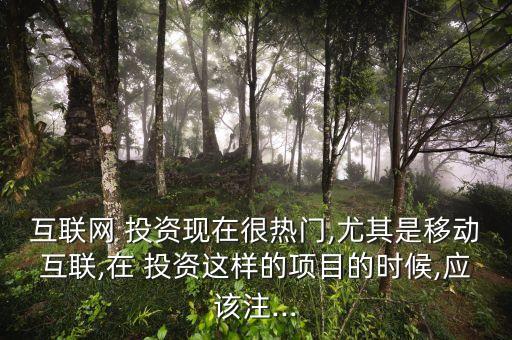 互聯(lián)網(wǎng) 投資現(xiàn)在很熱門(mén),尤其是移動(dòng)互聯(lián),在 投資這樣的項(xiàng)目的時(shí)候,應(yīng)該注...