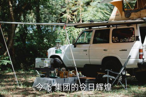  今飛 集團(tuán)的今日輝煌