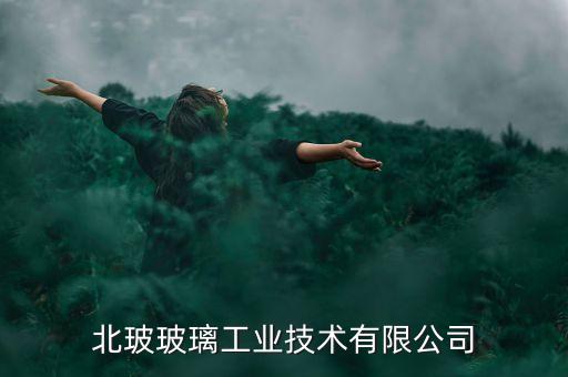 天津北玻玻璃工業(yè)技術有限公司