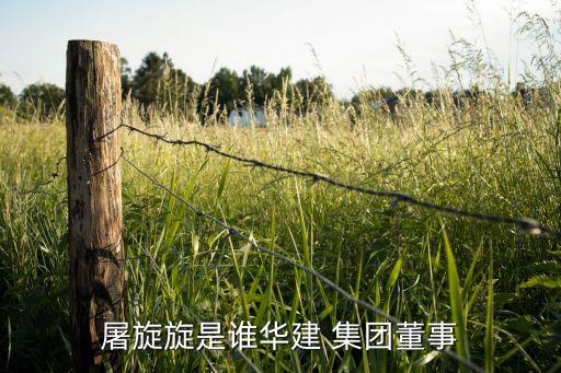 上海國盛集團張立平,內(nèi)蒙古環(huán)投集團張立平