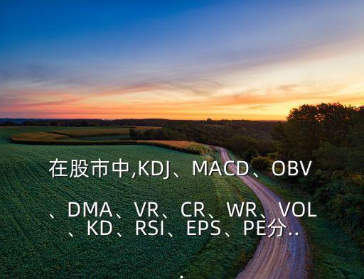 在股市中,KDJ、MACD、OBV、DMA、VR、CR、WR、VOL、KD、RSI、EPS、PE分...