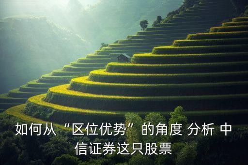 中信集團(tuán)借殼上市分析