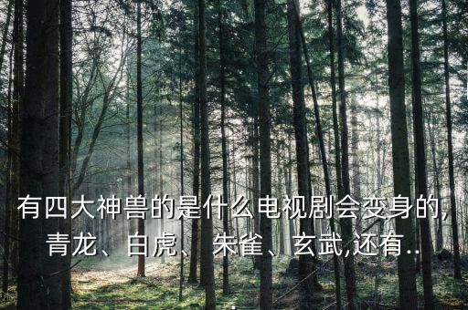 有四大神獸的是什么電視劇會變身的,青龍、白虎、 朱雀、玄武,還有...