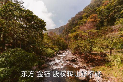 東方 金鈺 股權轉讓好不好