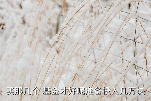 買那幾個(gè) 基金才好呢準(zhǔn)備投入幾萬塊