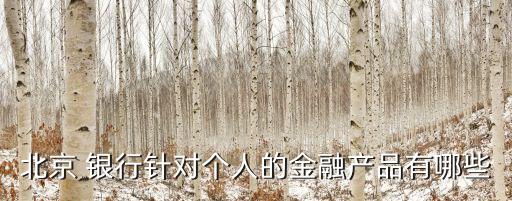 北京 銀行針對個(gè)人的金融產(chǎn)品有哪些