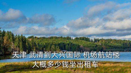  天津 武清到大興國際 機(jī)場(chǎng)航站樓大概多少錢坐出租車