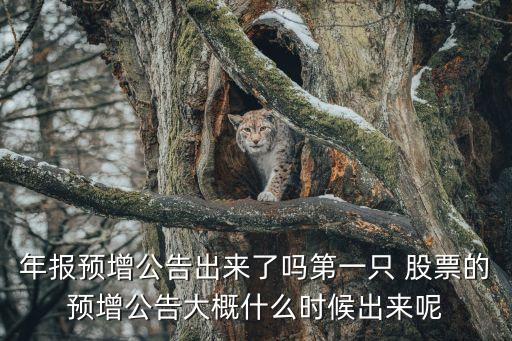 年報預增公告出來了嗎第一只 股票的預增公告大概什么時候出來呢