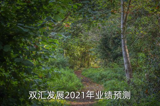 雙匯發(fā)展2021年業(yè)績預測