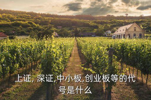 上證, 深證,中小板,創(chuàng)業(yè)板等的代號是什么