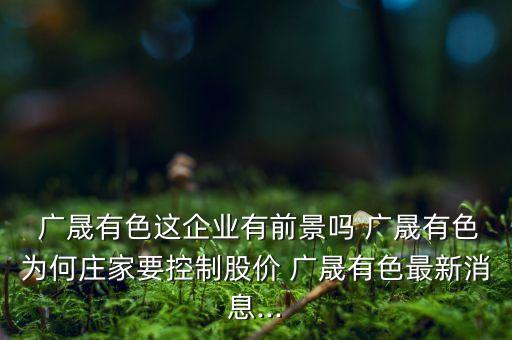 廣晟公司被查,廣晟國(guó)際大廈有哪些公司