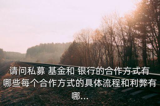 請(qǐng)問私募 基金和 銀行的合作方式有哪些每個(gè)合作方式的具體流程和利弊有哪...
