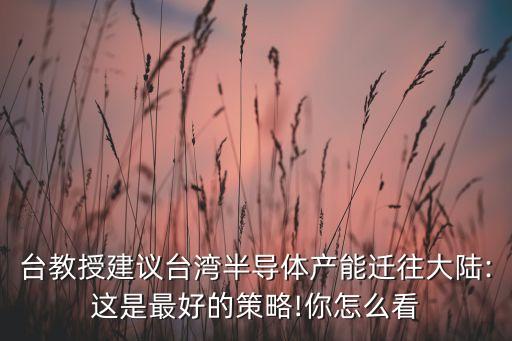 臺(tái)教授建議臺(tái)灣半導(dǎo)體產(chǎn)能遷往大陸:這是最好的策略!你怎么看