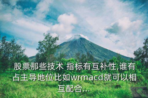  股票那些技術(shù) 指標有互補性,誰有占主導(dǎo)地位比如wrmacd就可以相互配合...