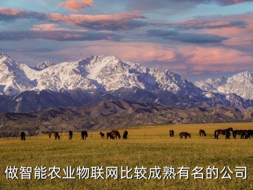 做智能農業(yè)物聯(lián)網比較成熟有名的公司