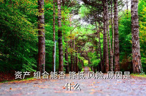 資產(chǎn) 組合能否 降低 風(fēng)險,原因是什么