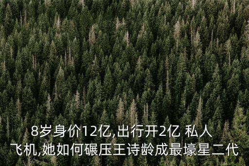 8歲身價12億,出行開2億 私人 飛機(jī),她如何碾壓王詩齡成最壕星二代