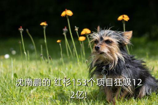 沈南鵬的 紅杉153個(gè)項(xiàng)目狂吸122億!