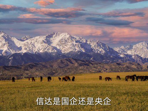 國(guó)投公司全稱,國(guó)投資本是什么公司