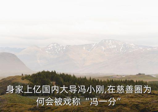 中國紅十字會(huì)崔永元公益基金