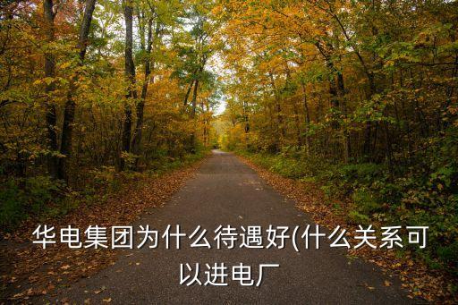  華電集團為什么待遇好(什么關(guān)系可以進電廠