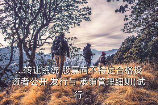 ...轉(zhuǎn)讓系統(tǒng) 股票向不特定合格投資者公開(kāi) 發(fā)行與 承銷管理細(xì)則(試行