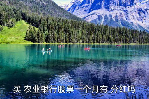 農(nóng)業(yè)銀行分紅記錄,可終身持有的10大分紅股票