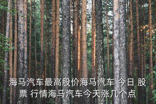 海馬汽車(chē)最高股價(jià)海馬汽車(chē) 今日 股票 行情海馬汽車(chē)今天漲幾個(gè)點(diǎn)
