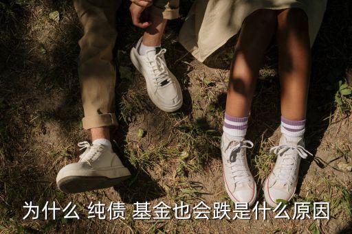 純債基金有風(fēng)險嗎,長期純債基金風(fēng)險