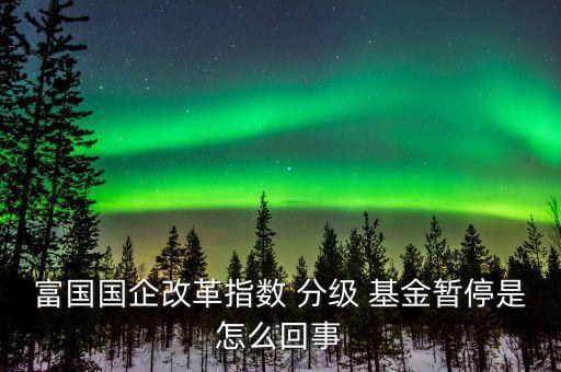 富國國企改革指數 分級 基金暫停是怎么回事