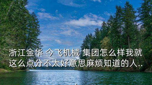 浙江金華 今飛機(jī)械 集團(tuán)怎么樣我就這么點(diǎn)分不太好意思麻煩知道的人...